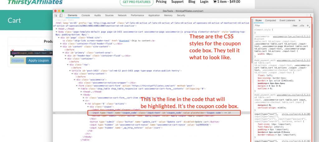 Inspect Developer Tools For Coupon Code Box Styles