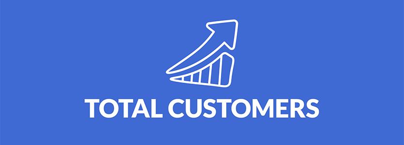 Total Customers (C) e-commerce