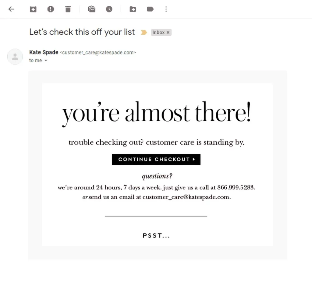 Abandoned Cart Email Example