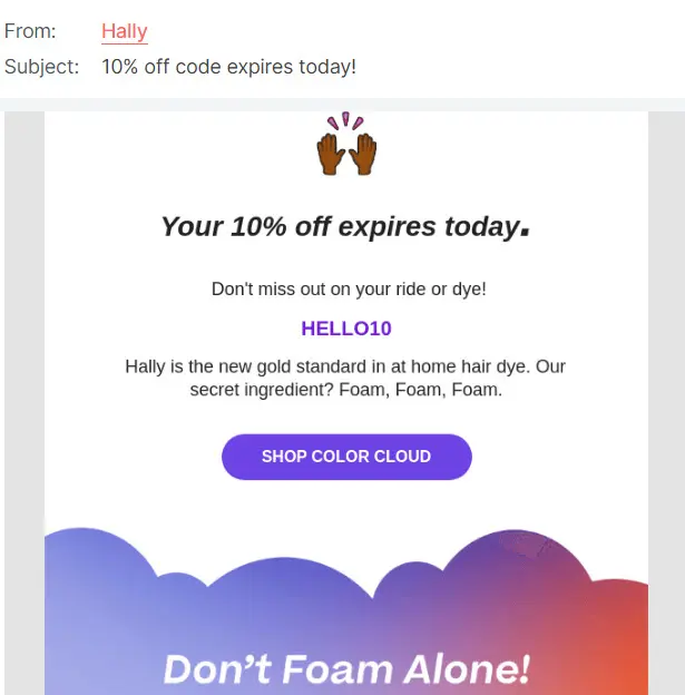 Example: Coupon Code from Hally 