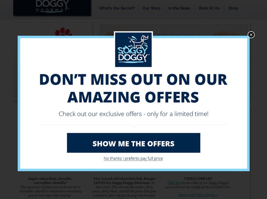 Pop-up promotion for Soggy Doggy, urging users not to miss out on amazing offers. 